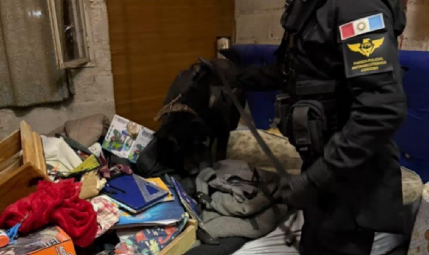 Desarticularon una organización narco en Córdoba: 14 detenidos tras 15 allanamientos