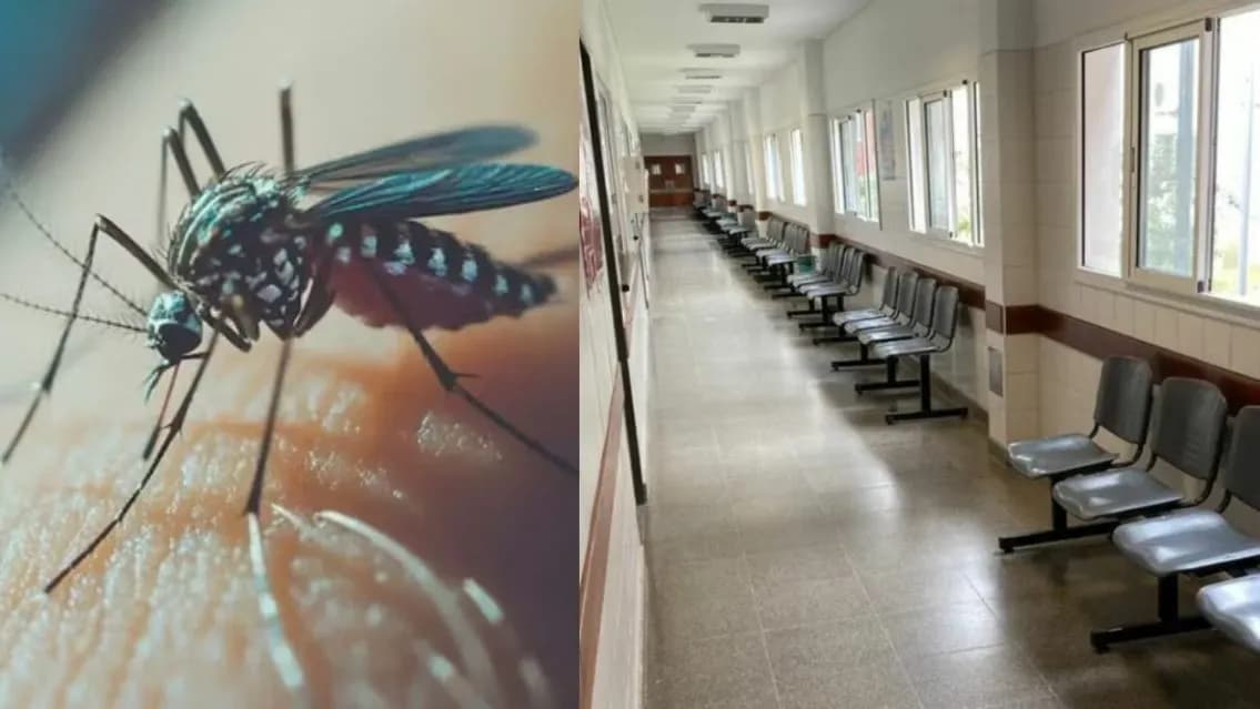 Chikungunya en Salta: registraron 2.440 casos y Salud recordó cuáles son los principales síntomas